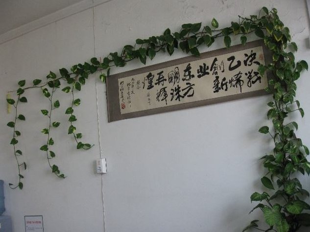  『藤椅子』乡间趣事！养花别只会放阳台，家中养“4种”花，挂墙上美美的，还不占地方