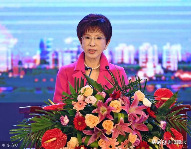 洪秀柱：台湾加大陆，才是一个完整中国