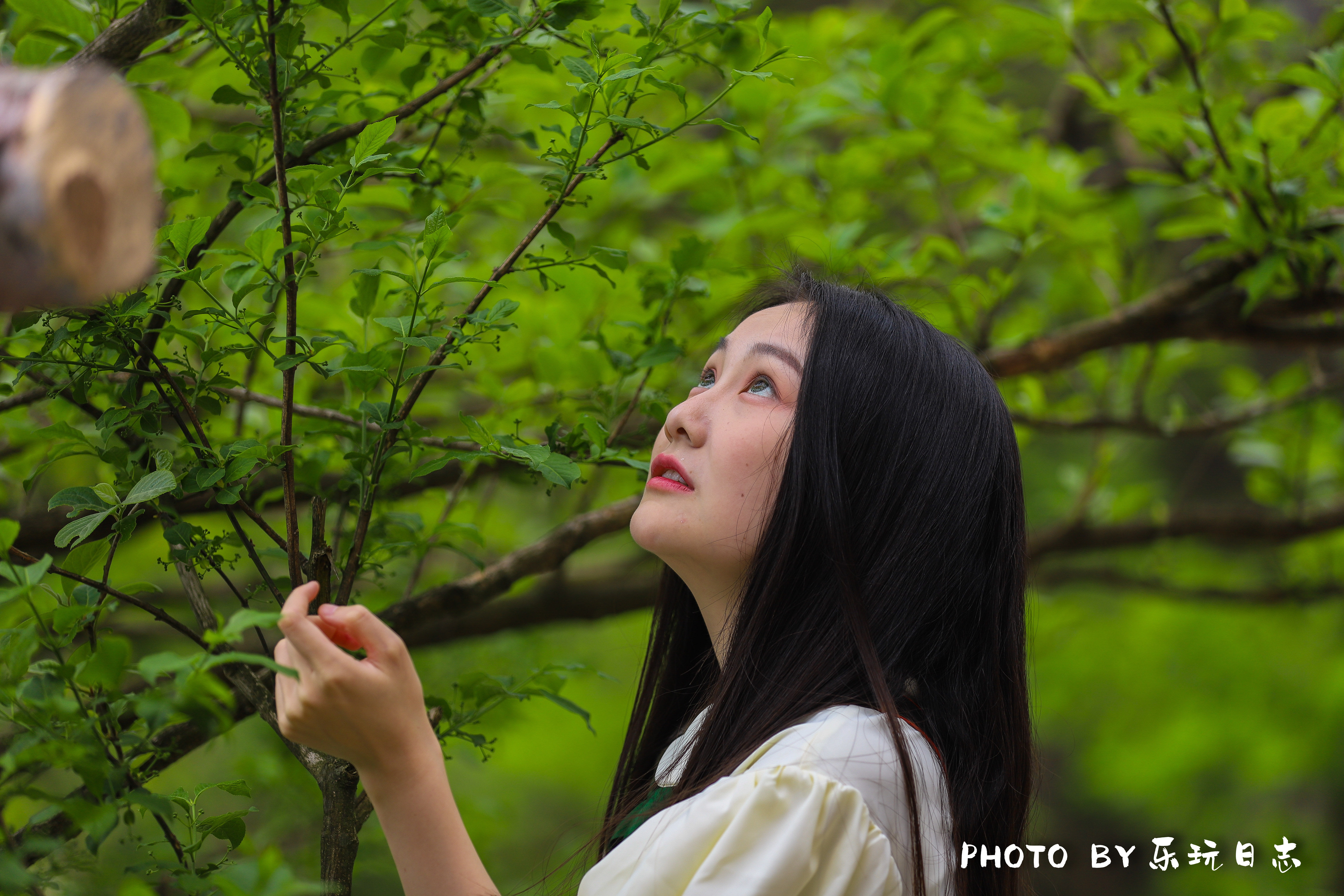 安徽著名仙山，杜鹃花开成海，随便一拍都是画