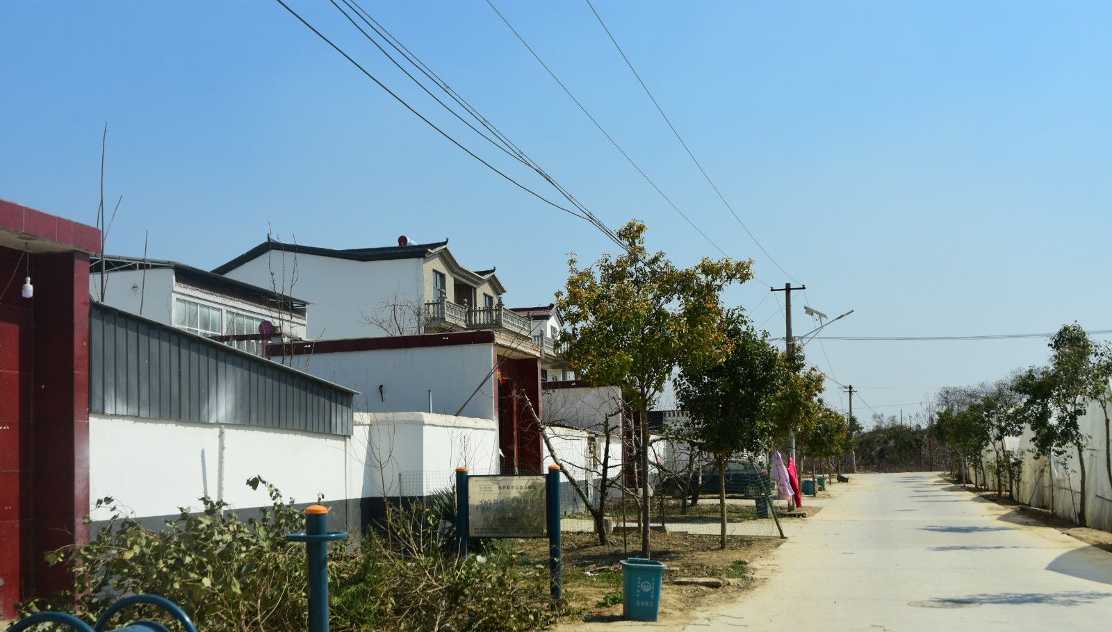  作物|曾经让农村人羡慕的作物，生长期为4年，如今越长越不值钱