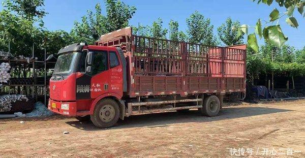  「系统」卡车北斗系统有啥用？司机故意关闭它被罚了2000元