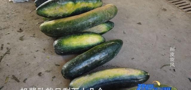  #工人#农村小伙花20多万发明“神器”，工人们直呼“厉害！”