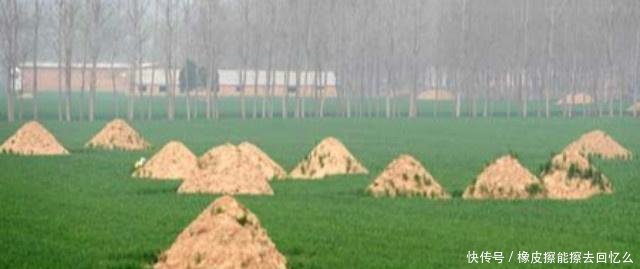 农村土葬改火葬后，与活人争地的坟墓却越来越坚固，这是为何