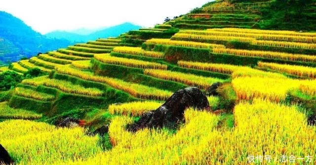 九月，最美的秋天在哪里？这些地方的金秋光景已经按捺不住了！