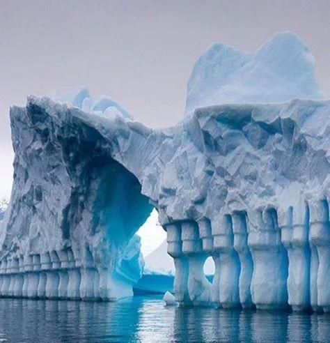 50张令人尖叫的照片，绝对够震撼