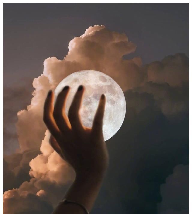  【高级】这三大星座，越简单，越高级