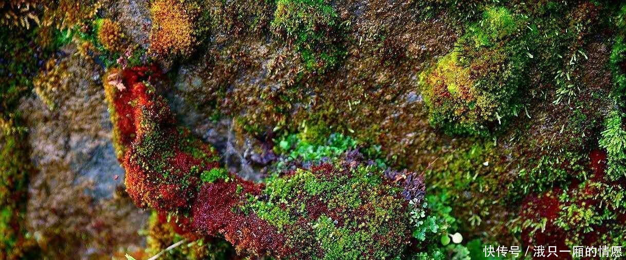 西安出发4个多小时到达, 山水相依, 如入仙境, 誉为陕南的九寨沟