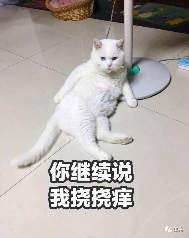 baby用CPB涂全身、林志玲打美白针，女明星为了“洗白”自己有多