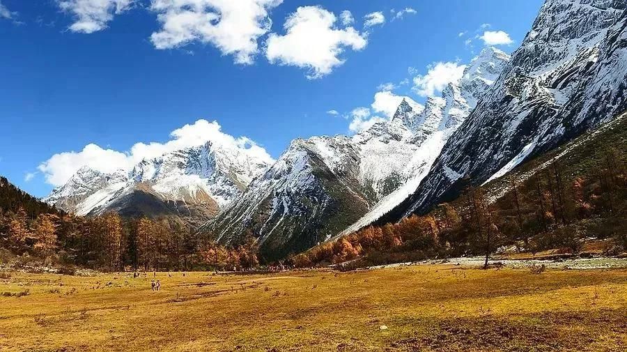 彩林之秋毕棚沟 | 赏秋要趁早!9月份就可以来这里赏红叶彩林了