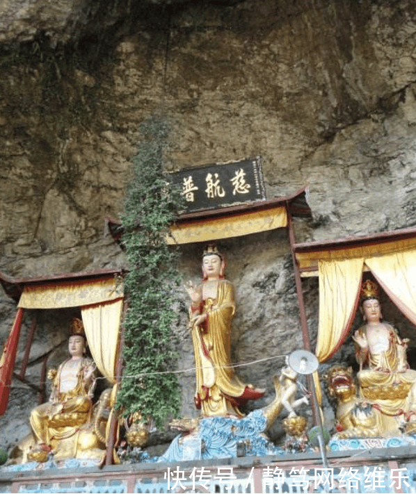 观音佛像前开出“千年宝莲花”, 终年无阳光和水, 只“保护”佛像