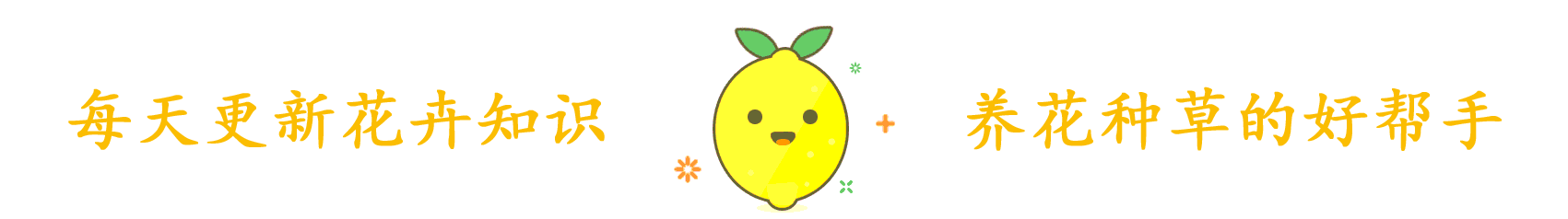 蟹爪兰|夏天一到,花卉进入生长旺期,这2种花抓紧时间剪,不影响开花