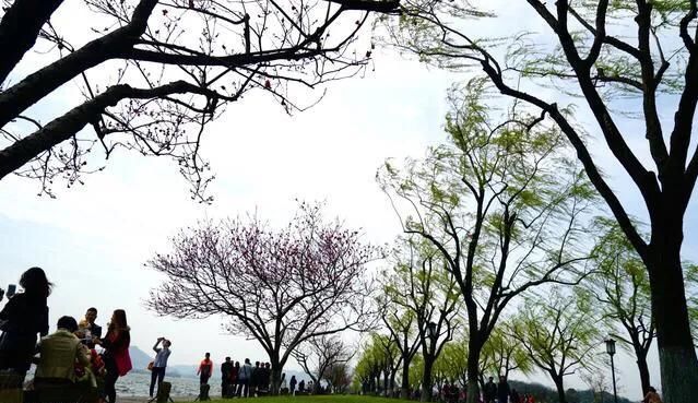 浙江17个5A级景区，你都去过哪几个？