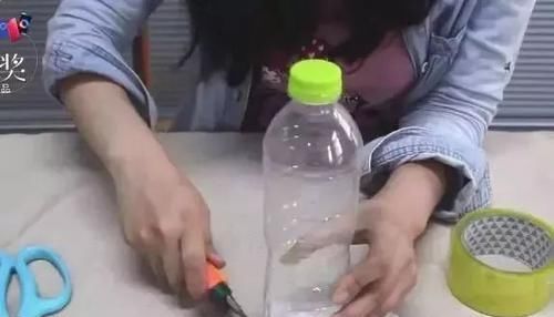  『扦插』绿植控养花基本不用花钱，一个矿泉水瓶子就可以繁殖想要的花花