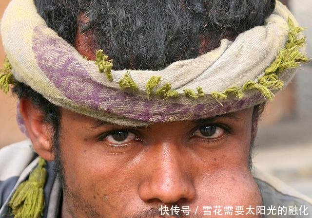 这个国家人们爱吃“树叶”，每天要吃4个小时，中国不允许种植