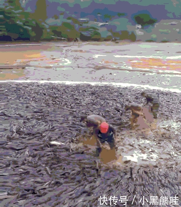 实拍农村几年没干过的池塘抽完水后, 密密麻麻全是鱼村民用麻袋装