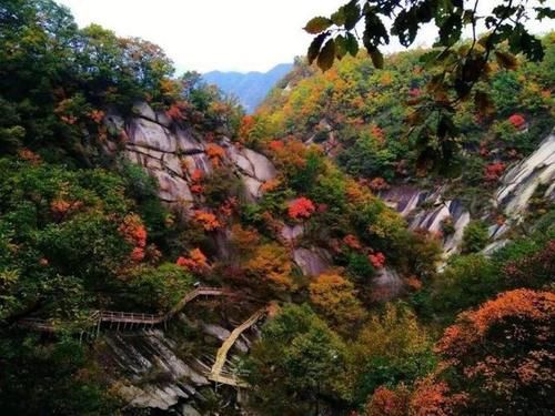 河南这三个4A景区，免门票了！快来看看有你想去的没？