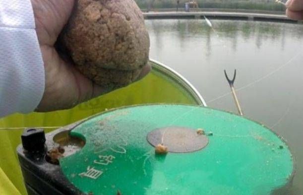  「钓足」春天就数大鲫鱼最难钓？抓住这3个要诀，每都次钓足瘾