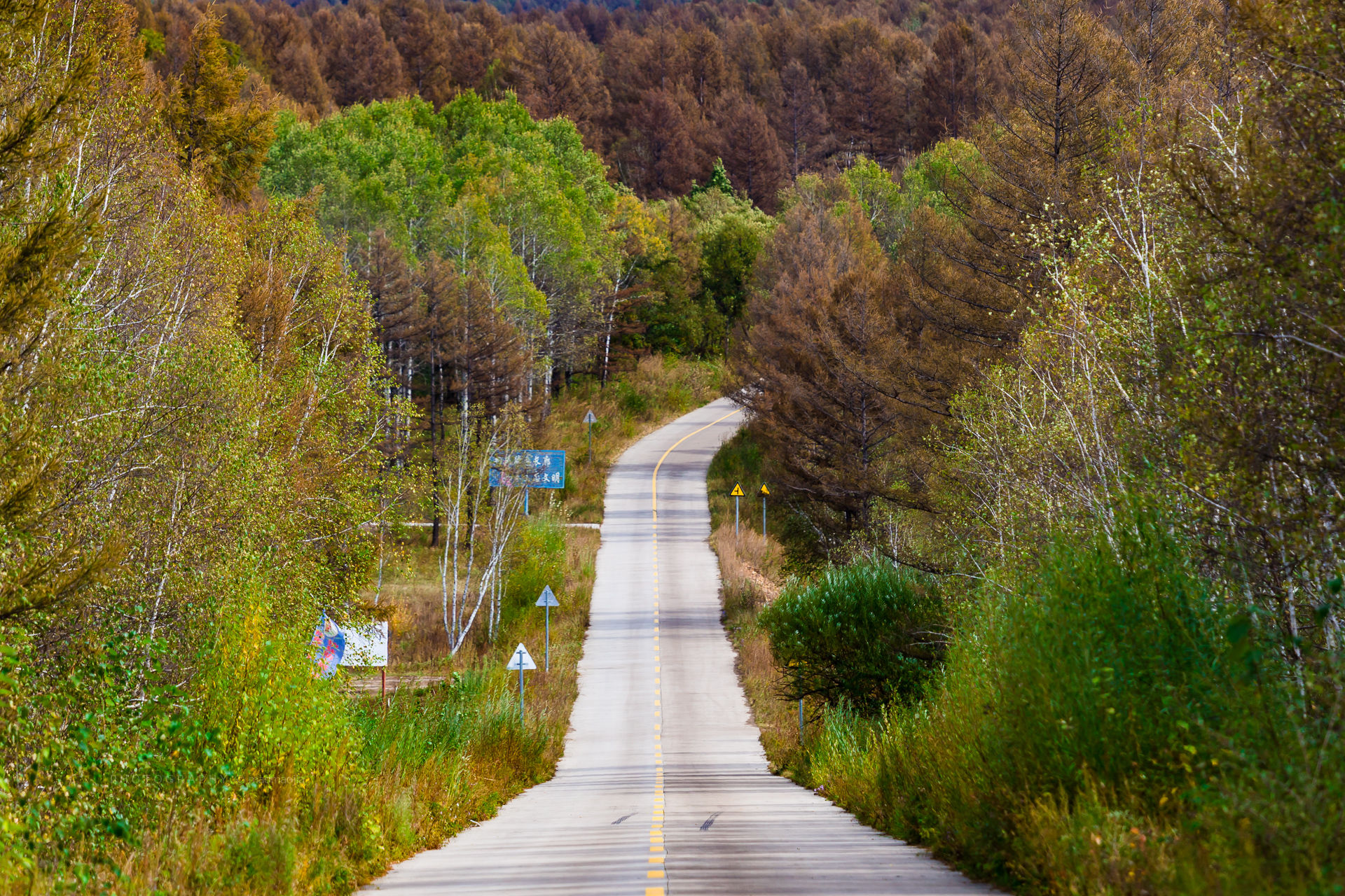 【内蒙古】探秘中国最美县道:蘑阿公路