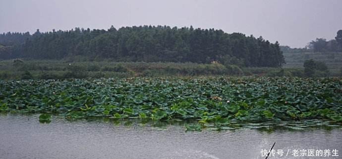 湖南省第二大淡水湖,面积达3840公顷,旅游资源堪比洞庭湖!