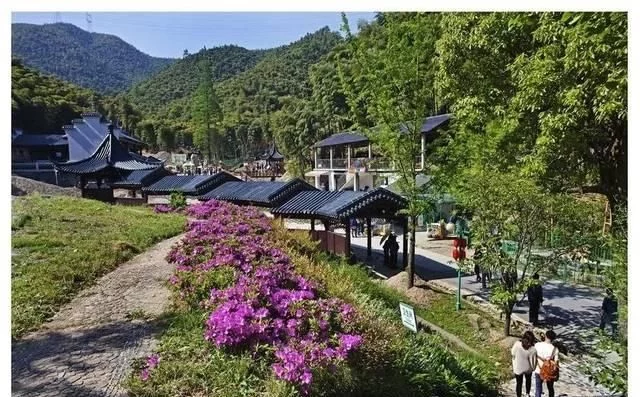 春天深呼吸,安吉来“氧”你!2020年三八女神节,可以来安吉旅游啦【2020热门旅游景点】