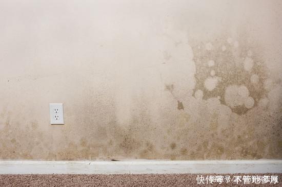  『南方人』回南天难逃霉运，南方人的家还有救吗