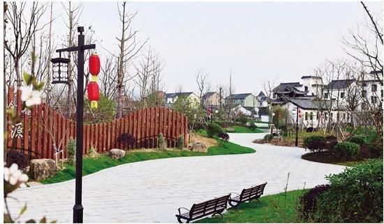 乡村振兴开新局 改革创新结硕果