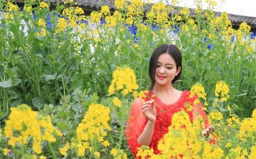  [厉害]油菜花开一片香，青山绿水钓鱼忙，这里的野鲫鳞甲金黄，板得厉害