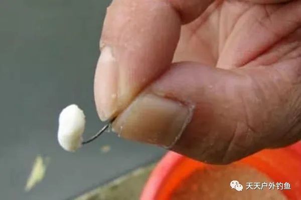 #不及#野钓必杀技:这些饵料小鱼避之不及,大鱼喜欢,专钓大鲤大草鱼!