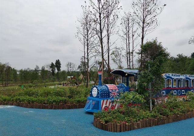  小花|“小花花”如何变成大产业 带你走进西南最大三角梅基地