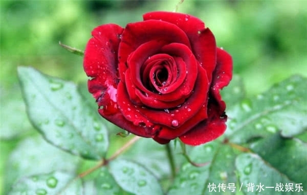  保养@“越活越年轻”的三生肖女，一个会保养，一个会打扮，一个天生的