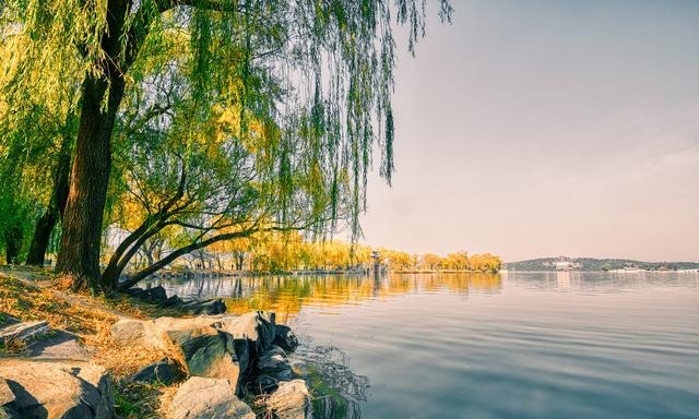 点评2张有瑕疵的照片,常见错误,摄影小白要谨慎