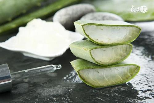 芦荟胶去痘有效吗?如何使用芦荟胶发挥最佳去痘效果