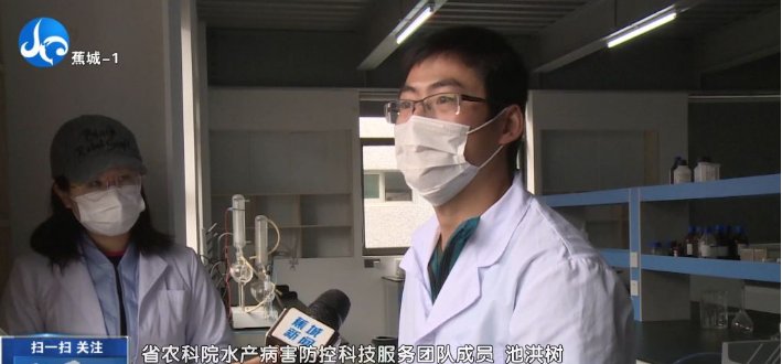  [内脏白点病]春季大黄鱼病害问题如何防治？别急，省农科院专家为您支招