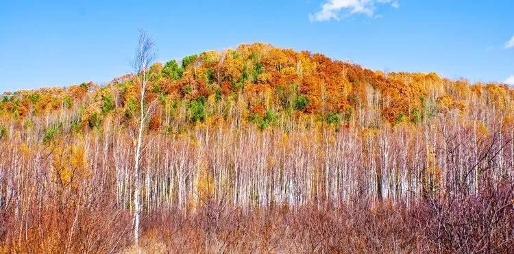 一片如梦如幻的斑斓色彩、仿佛是仙子居住奇境，这里是北疆的秋天