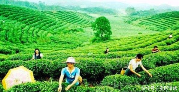  「落榜」河南最适宜居住的城市，连续八年入选，郑州南阳落榜，