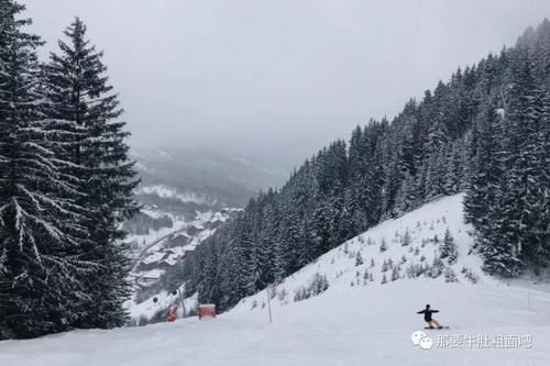 全球滑者都向往的阿尔卑斯到底有多美？