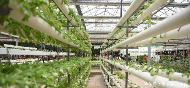 下半年补贴开始领，三类人拿到手软，另三类人想都别想