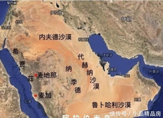 阿拉伯最大沙漠突降大雨，1天相当于9年雨量！