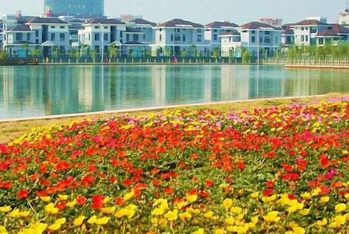 它被称为浙江第一村,是一座美如花园的村子,看看它美在哪里