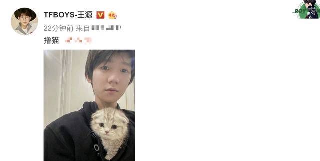  粉丝@王源在阳光下炫耀他的新猫！粉丝们看到他准备的贵宾巢都嫉妒