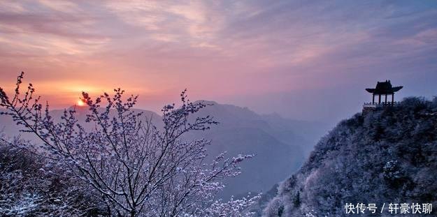 河南大范围的降雪已经到了, 小雪、中雪、大雪, 喜欢的赶紧来吧