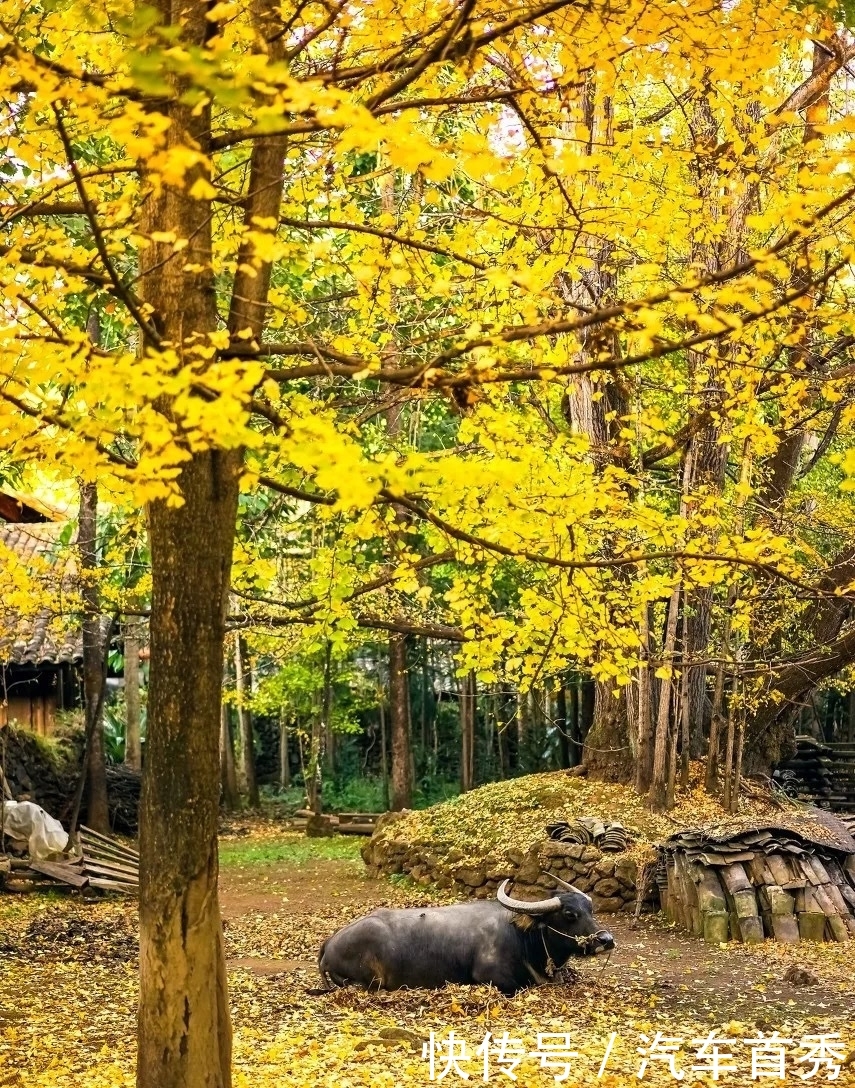 有一种旅行，叫冬天去云南