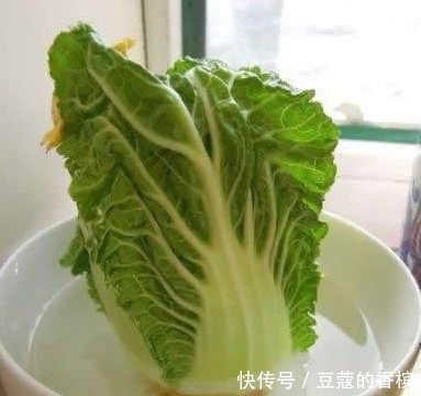 「萝卜」不要再买盆栽了,厨房里的白菜萝卜红薯,盆栽起来非常漂亮