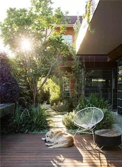  「绿植」农村小院怎样装才好看？如果我在乡下有一院子，一定要