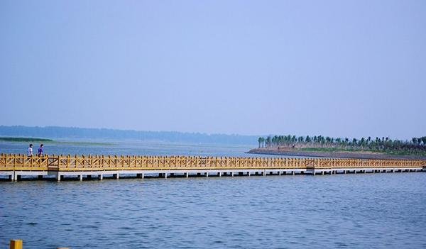  江苏@江苏、山东、河南和安徽四省交界，所在两个县，一个被称长寿之乡