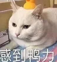 油价或突破8元时代，更可怕是：油价又要涨了，92汽油可能突破…