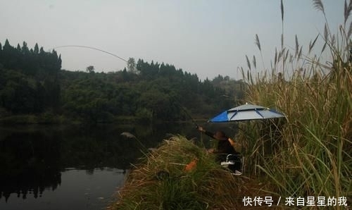  「天气」这里的鱼不仅多, 而且傻, 钓鱼拉得手抽筋