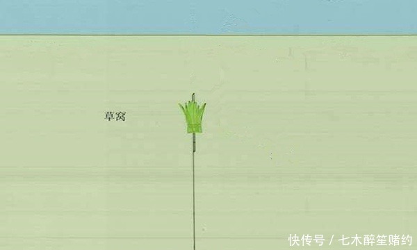 全浮草窝|夏钓草鱼必杀技巧:巧妙布草窝,轻松钓获大草鱼!
