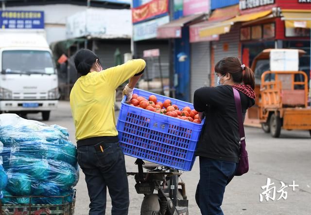  批发市场|江门“菜篮子”供应如何？批发市场走一趟