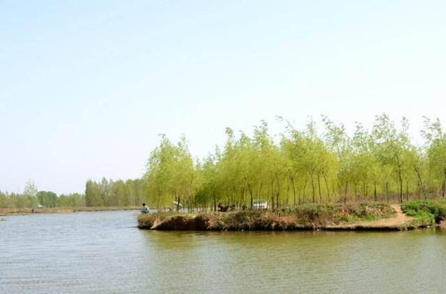  #灵活调钓#野钓调漂，真没有那么多讲究，只要会钓钝抓死口，渔获自然不会少